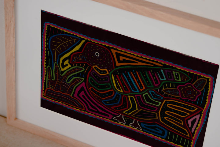 Rainbow Colors Pigeon Bird Of The Jungle Mola