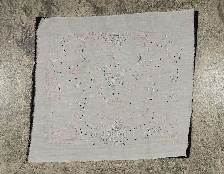 Sulphur-crested Cockatoo Mola