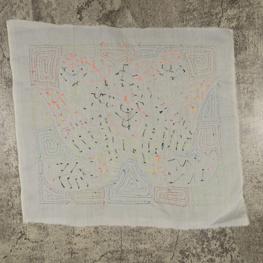 Fantasy Red Blue And Yellow Two Toucan Bird Mola