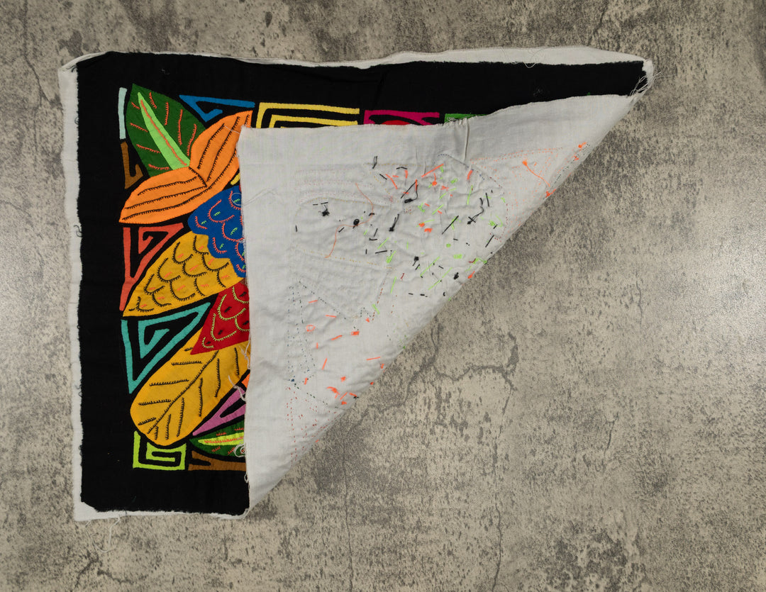 Fantasy Red Blue And Yellow Two Parrot Bird Mola