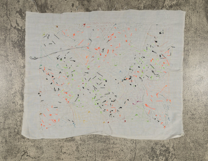 Fantasy Red Blue And Yellow Two Parrot Bird Mola