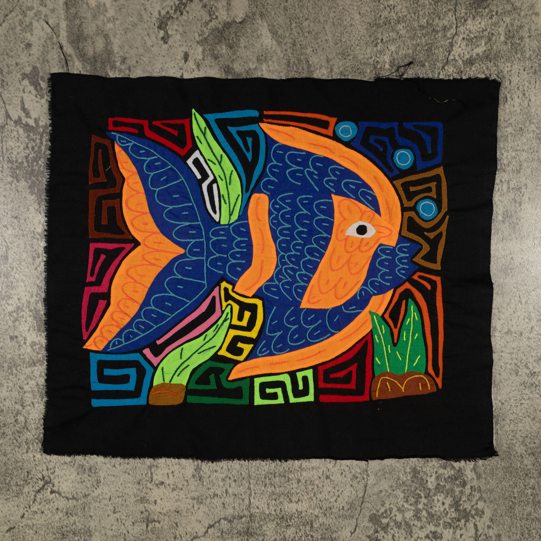 Fantasy Orange And Blue Angel Fish Mola