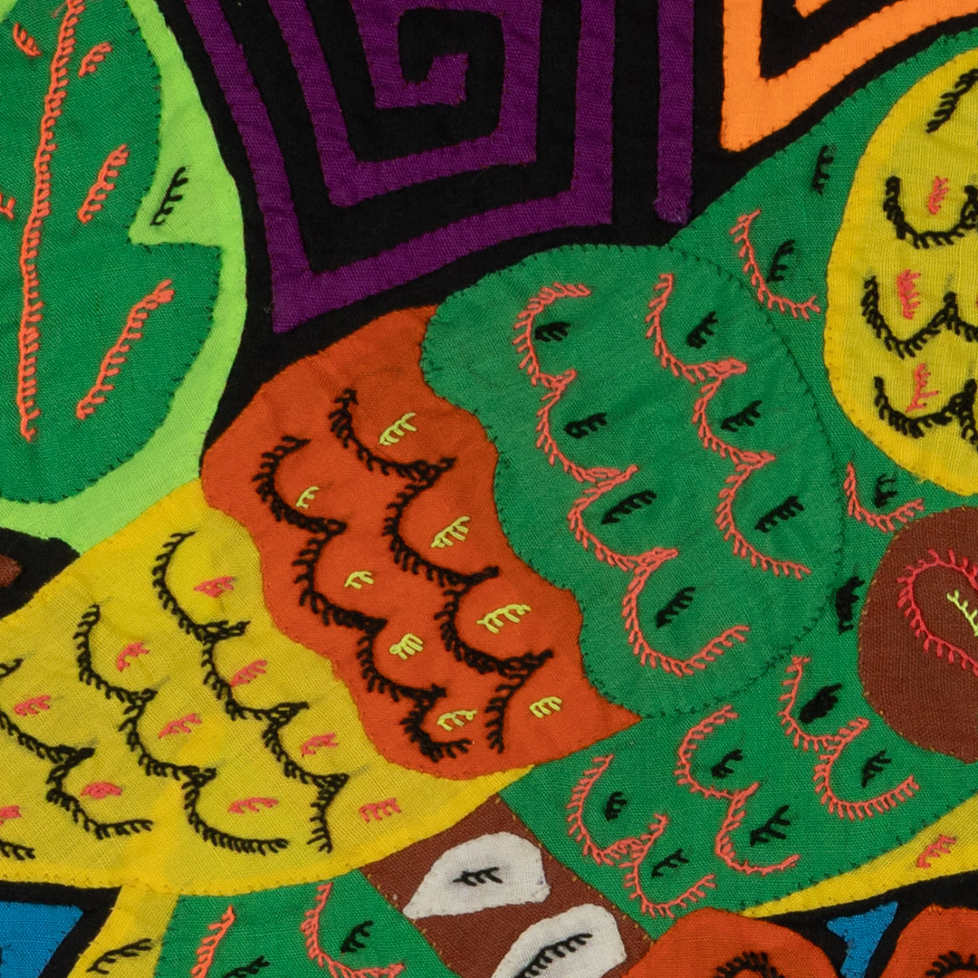 Tropical Parrot Family Mola