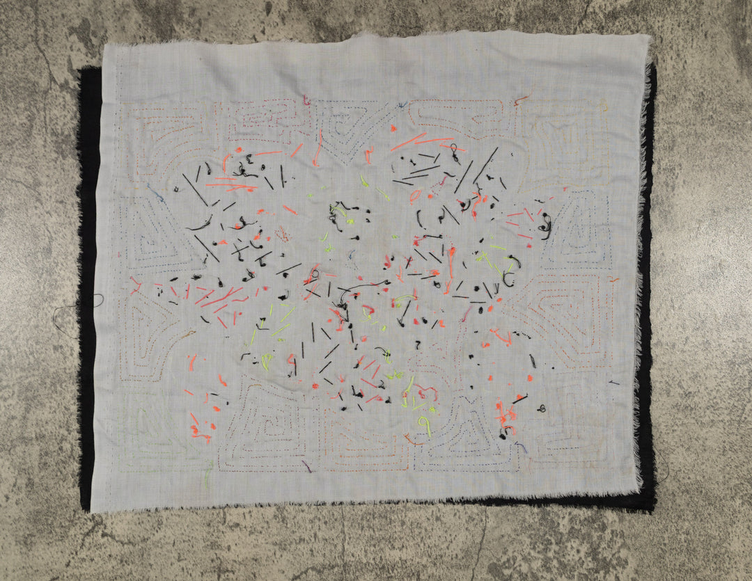 Tropical Parrot Family Mola