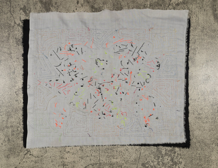 Tropical Parrot Family Mola