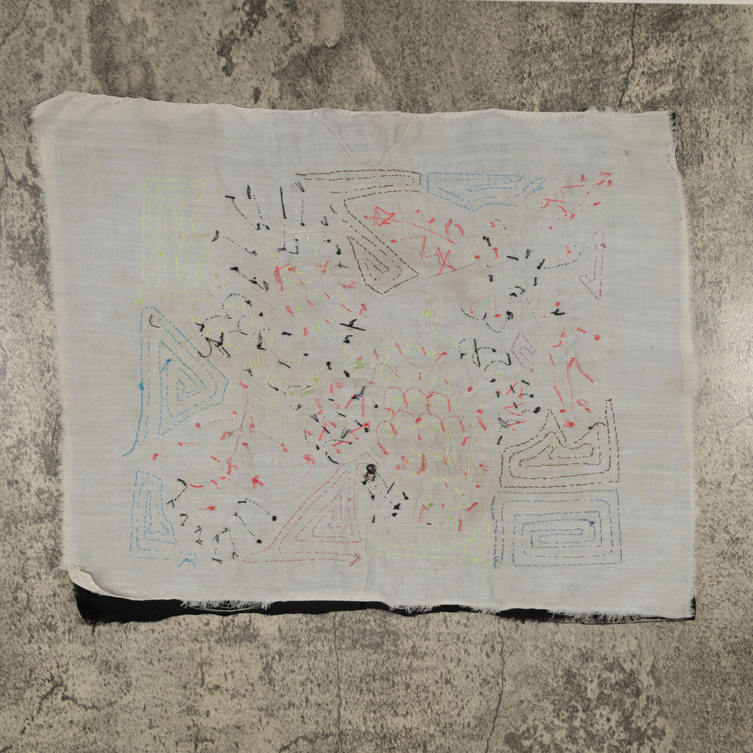 Fantasy Red Blue And Yellow Parrot Bird Mola