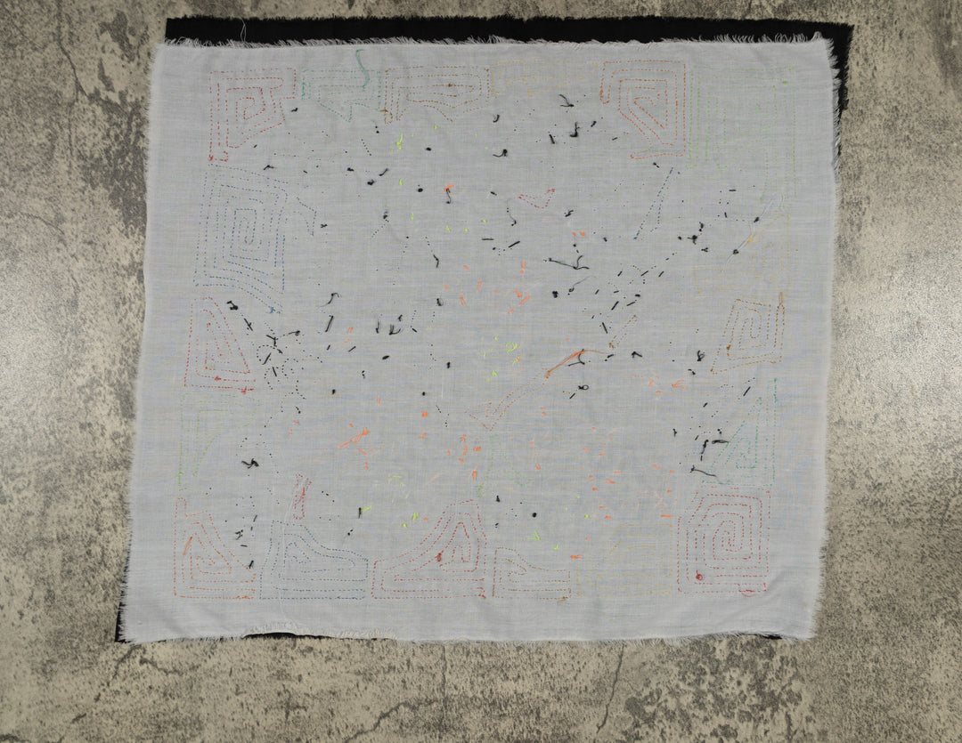 Panama Parrot Trio Mola