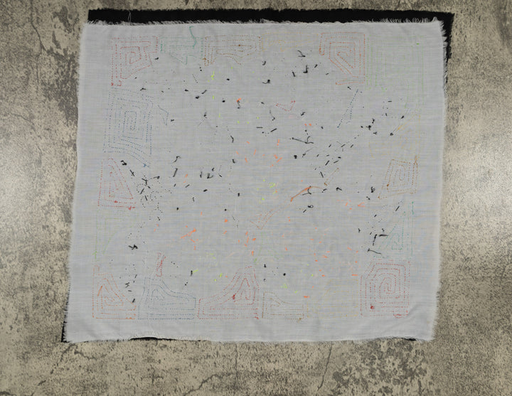 Panama Parrot Trio Mola