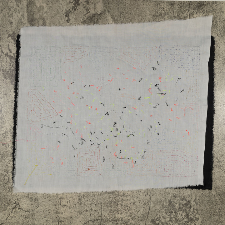 Fantasy Orange And Blue Parrot Bird Mola (Copy)