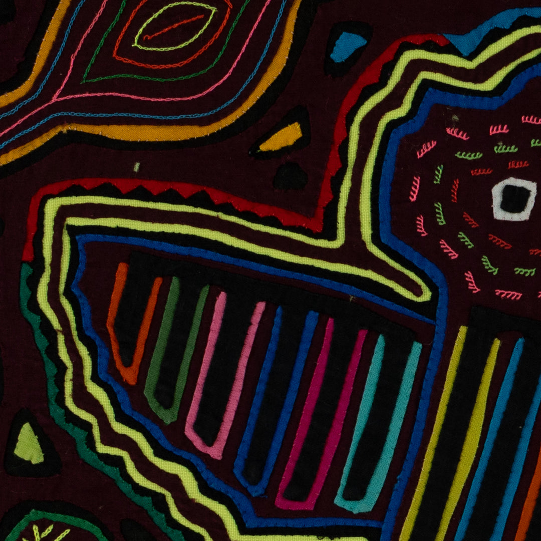 Maroon And Yellow Bat Bird Mola