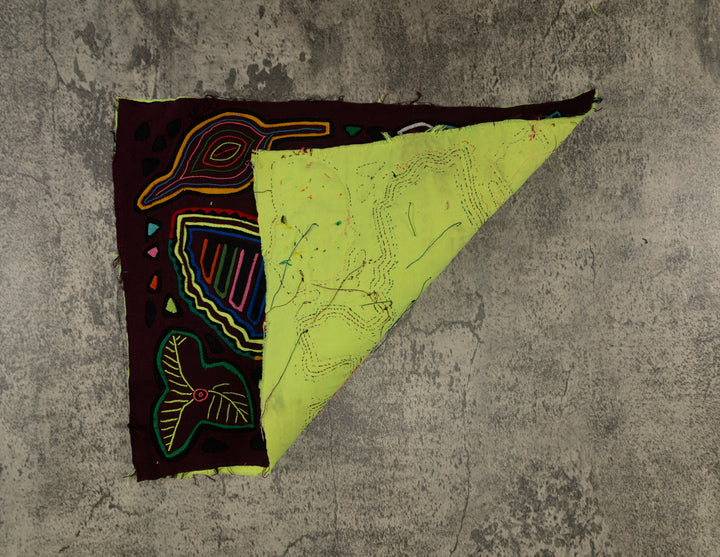 Maroon And Yellow Bat Bird Mola