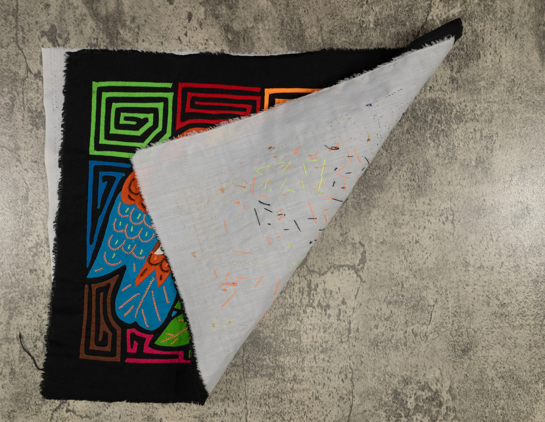 Fantasy Blue Orange And Green Two Parrot Mola