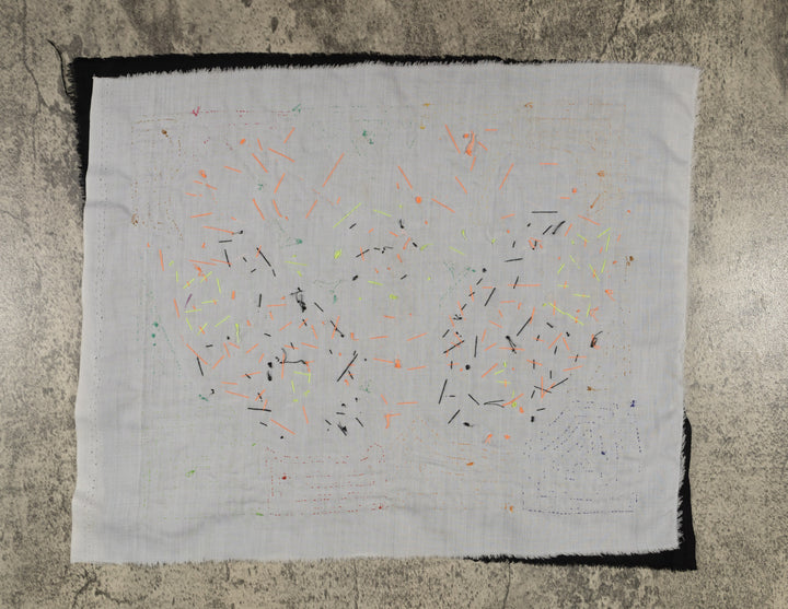 Fantasy Blue Orange And Green Two Parrot Mola