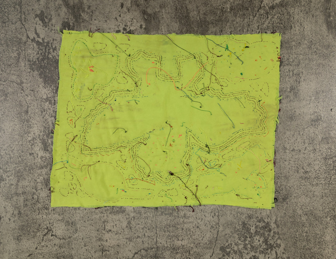 Maroon And Yellow Bat Bird Mola