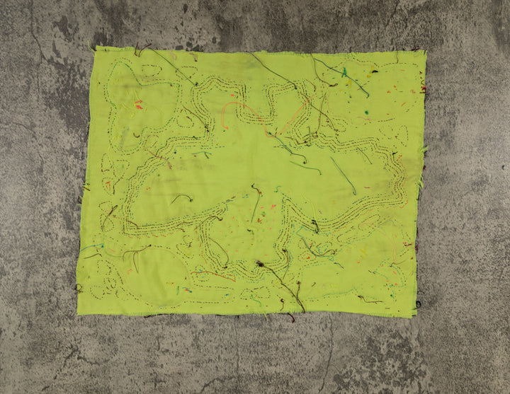 Maroon And Yellow Bat Bird Mola