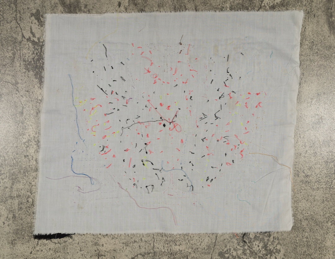 Tropical Parrots Facing Each Other Mola