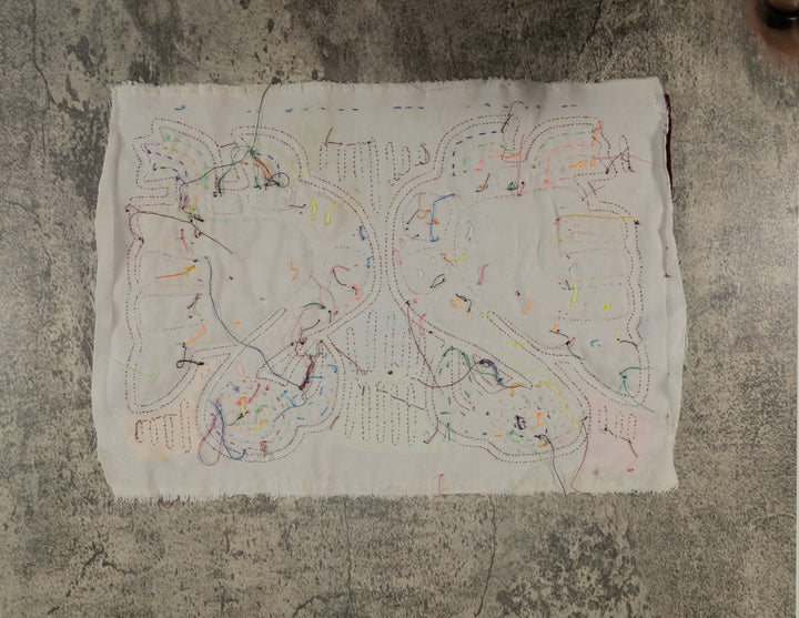 Rainbow Colors Flamingo Bird Mola