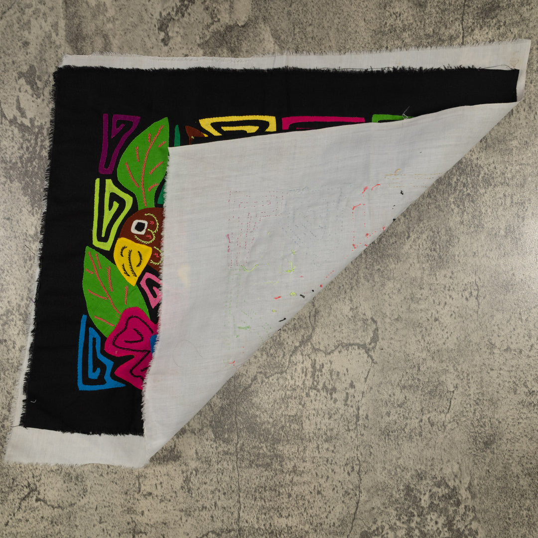 Fantasy Brown And Yellow Parrot Bird Mola