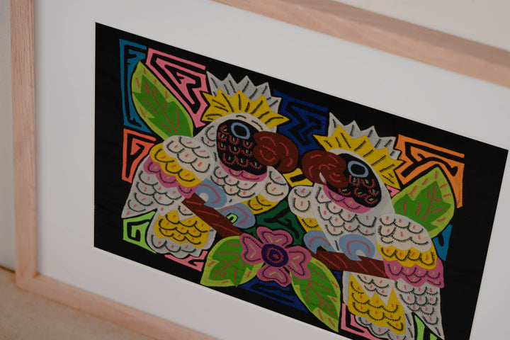 Sulphur-crested Cockatoo Mola