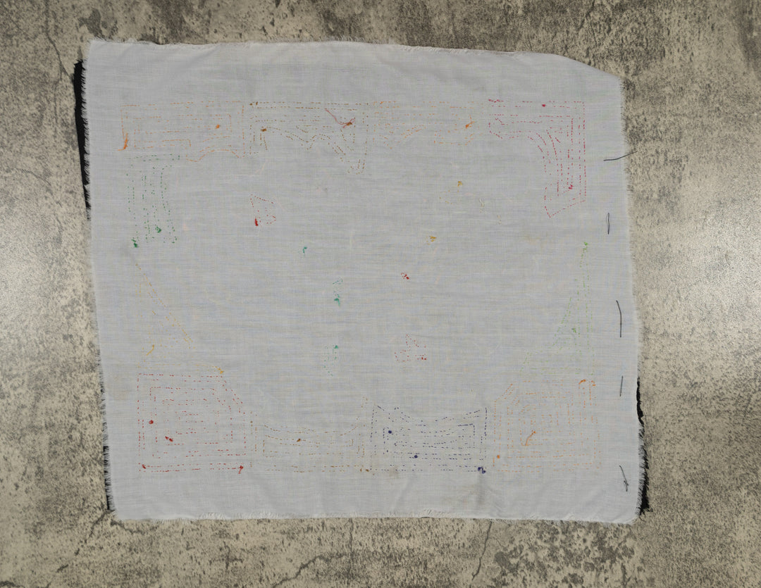 Orange And Blue Tropical Parrot Pair Mola