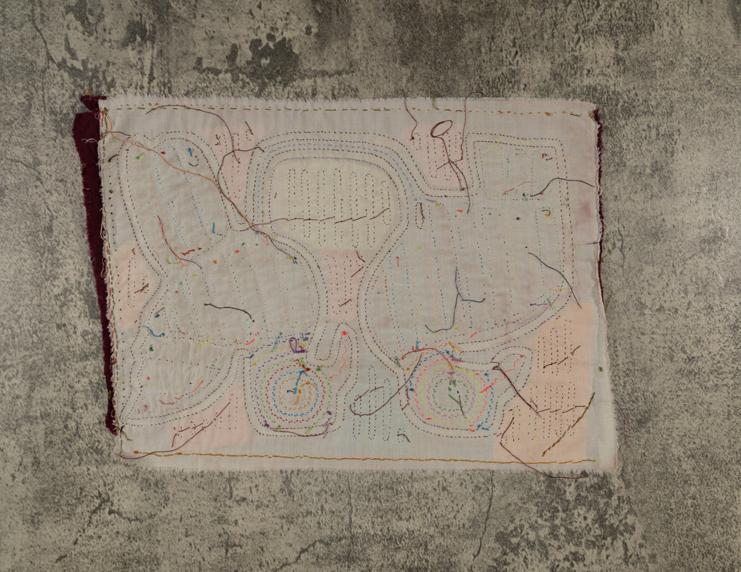 Burgundy And White Pigeon Dove Bird Mola