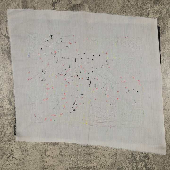 Fantasy Brown And Yellow Parrot Bird Mola