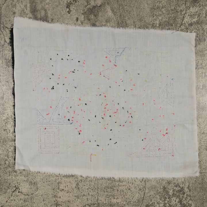 Fantasy Blue And Purple Toucan Bird Mola