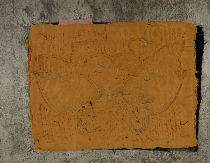 Black And Maroon Rainforest Bird Critters Mola