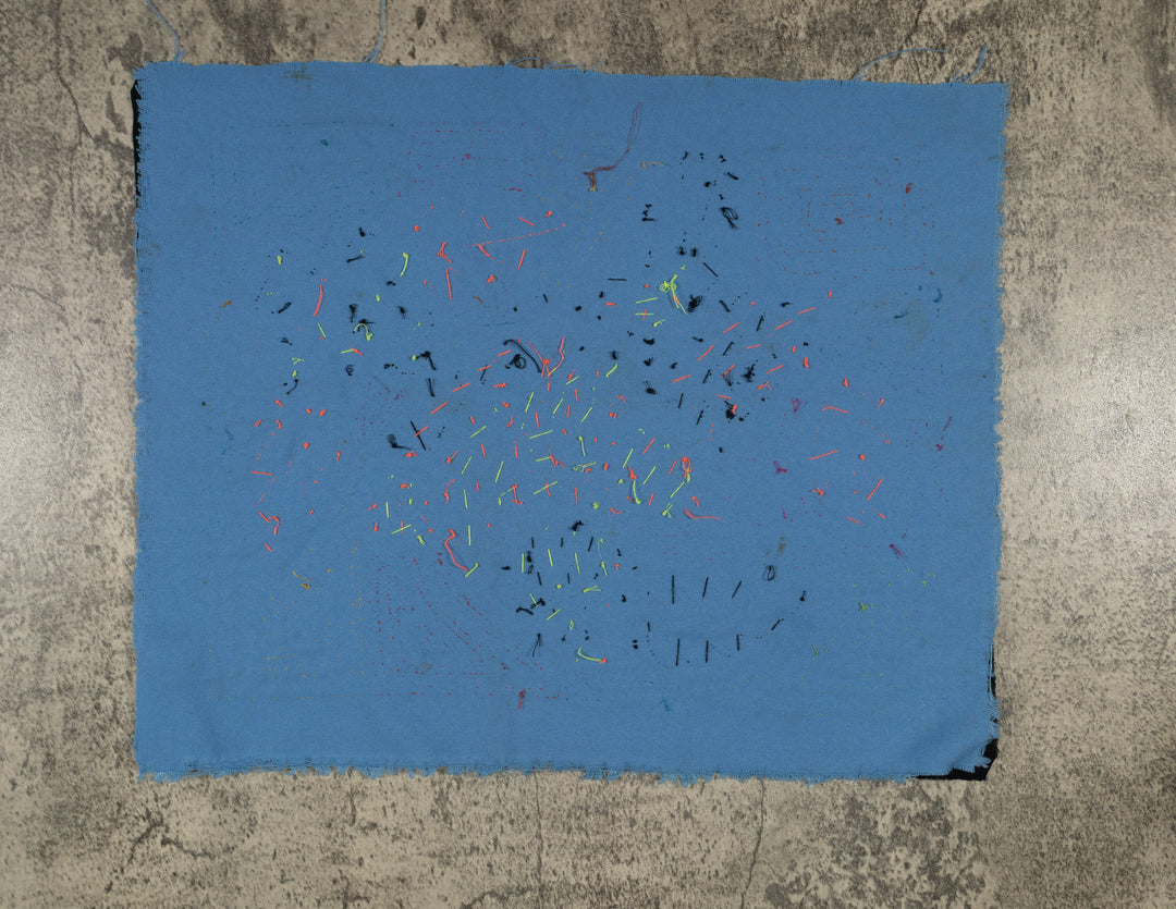 Channel-billed Toucan and Jungle Hibiscus Mola