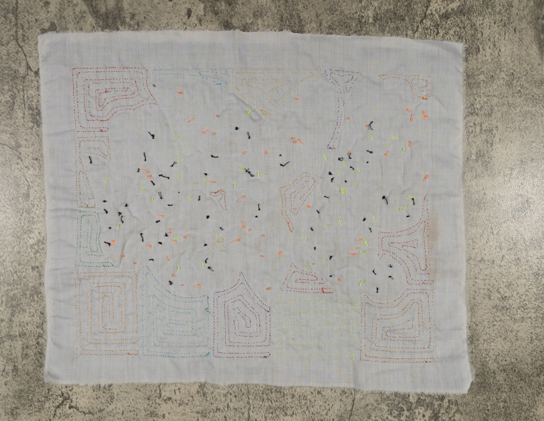 Fantasy Pink Yellow Blue And Orange Two Parrot Mola