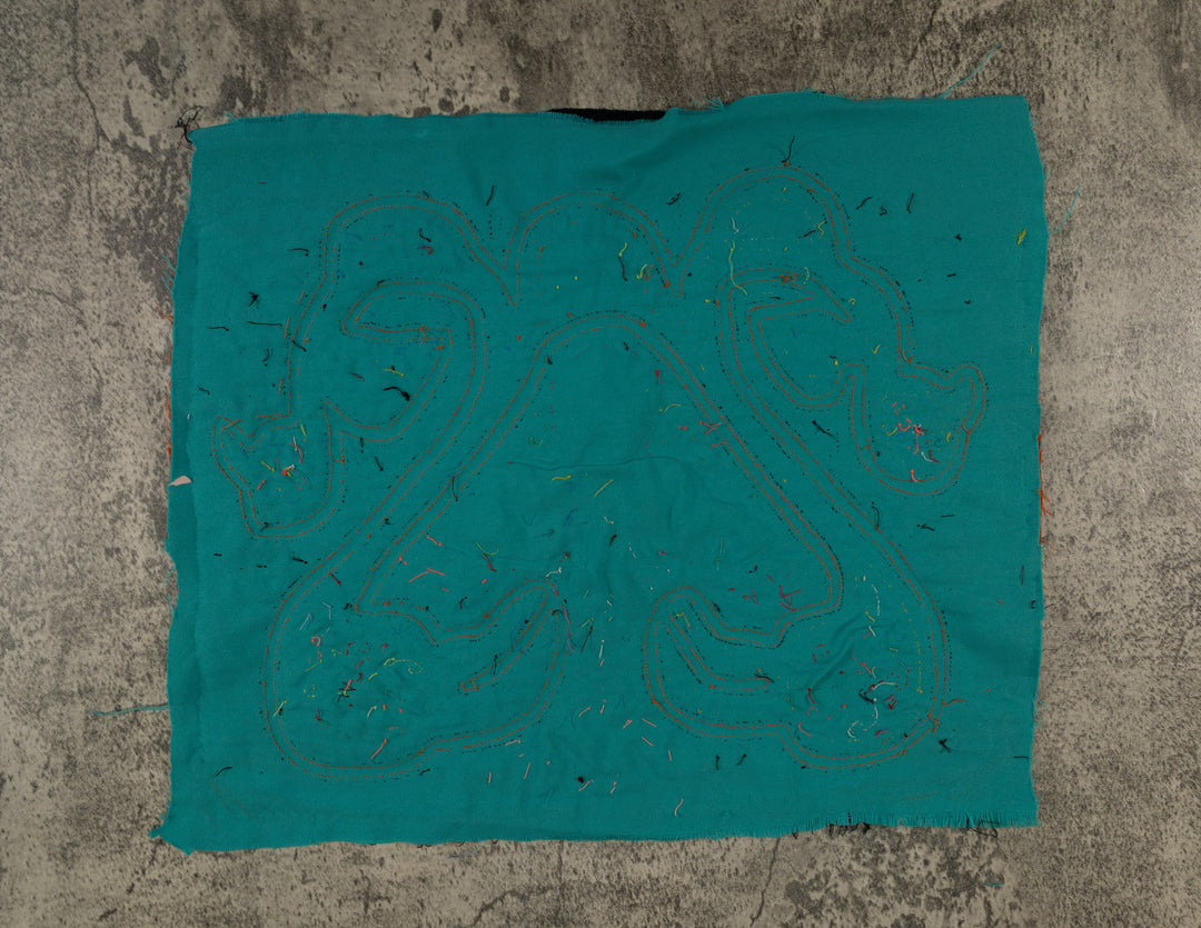 Blue And Yellow Gorgeous Bird Mola