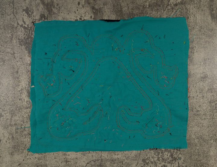 Blue And Yellow Gorgeous Bird Mola