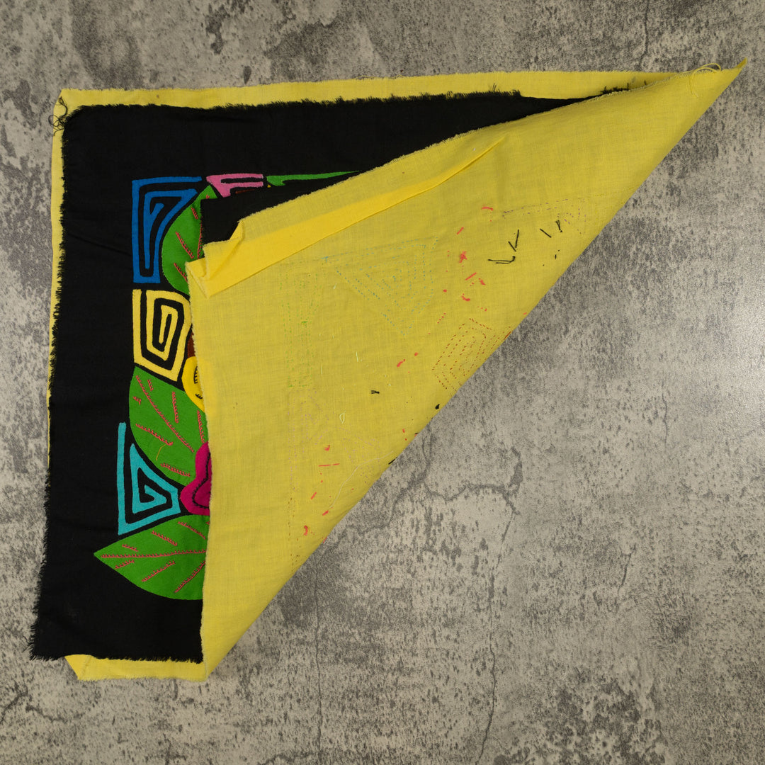 Fantasy Brown And Yellow Parrot Bird Mola