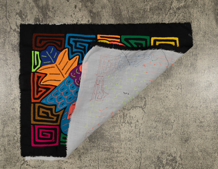 Fantasy Orange And Blue Parrot Bird Mola