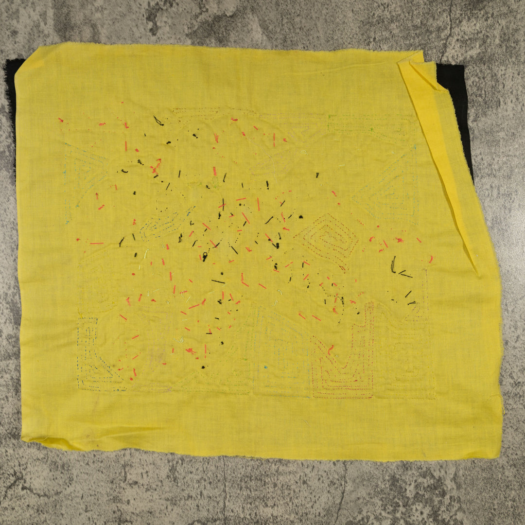 Fantasy Brown And Yellow Parrot Bird Mola