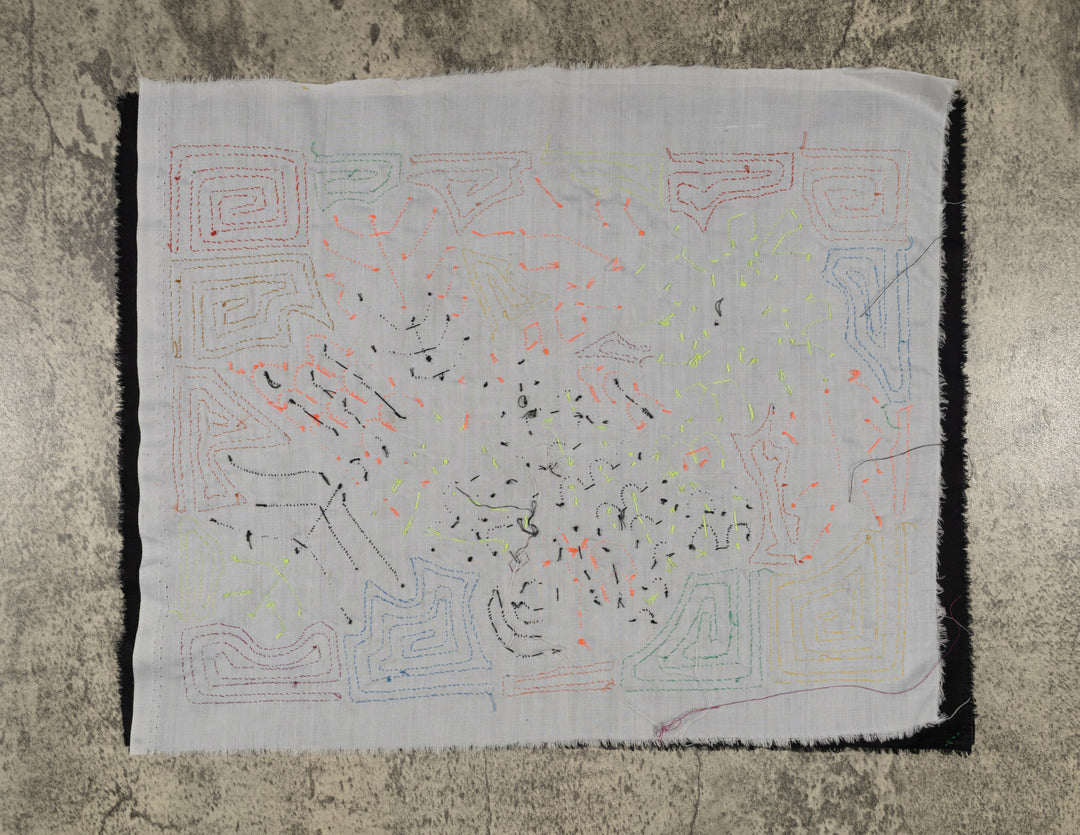 Fantasy Orange And Blue Parrot Bird Mola