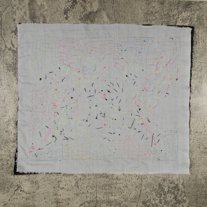 Fantasy Red Blue And Yellow Two Toucan Parrot Mola