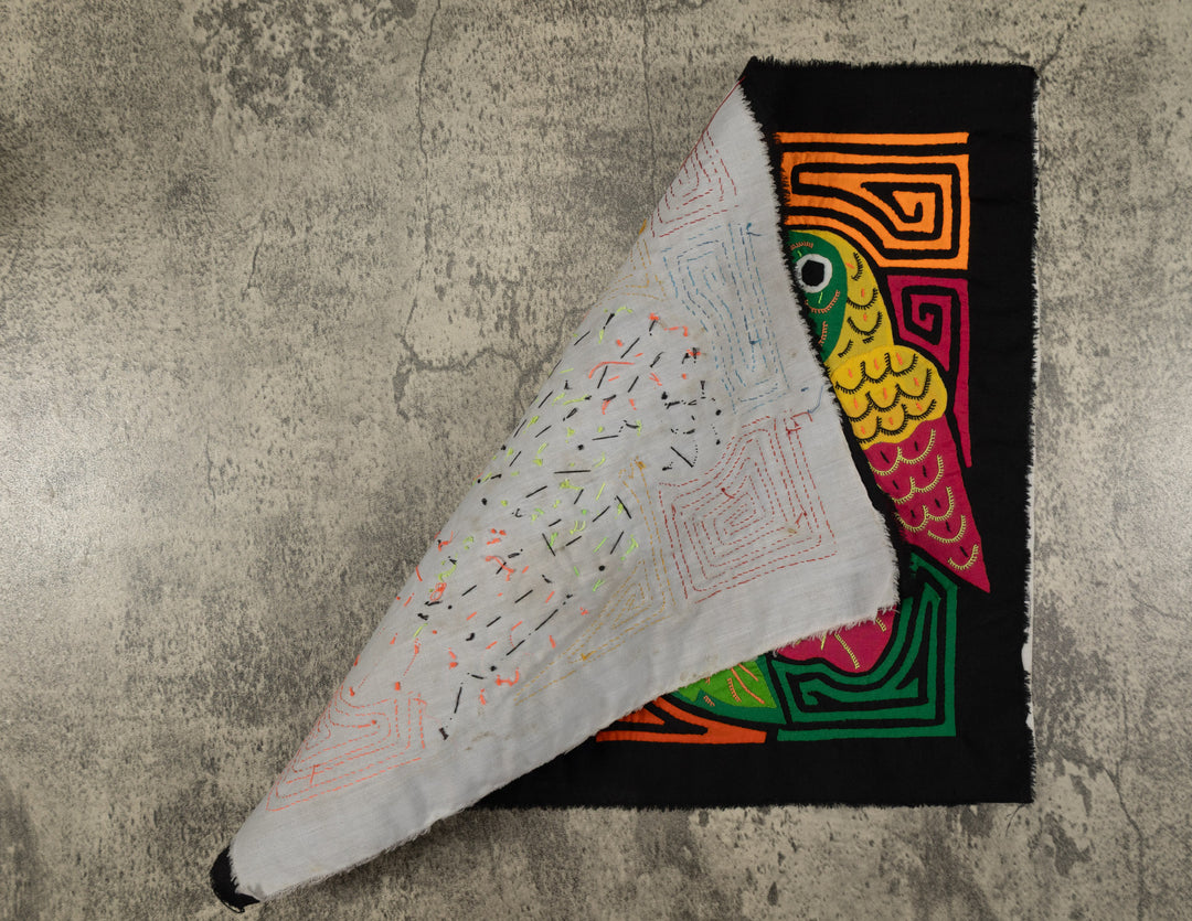 Fantasy Orange Blue And Yellow Two Parrot Bird Mola