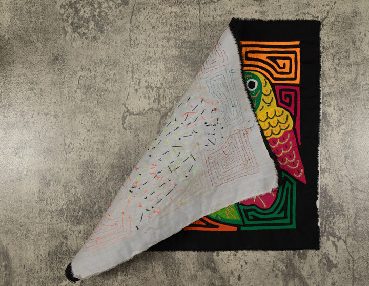 Fantasy Orange Blue And Yellow Two Parrot Bird Mola