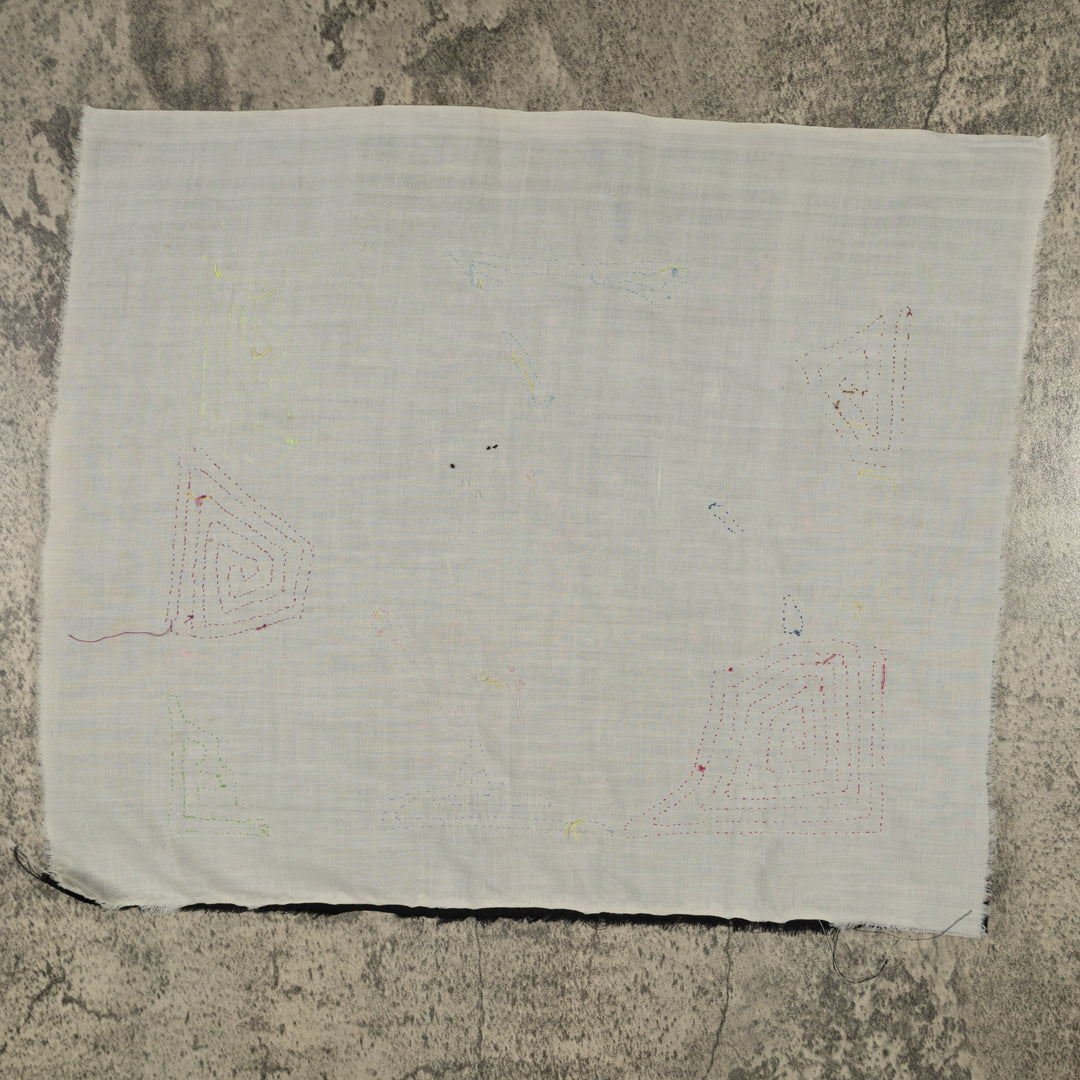 Fantasy Pink Blue And Yellow Parrot Bird Mola