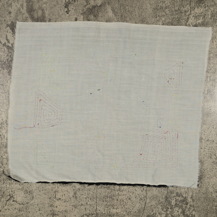 Fantasy Pink Blue And Yellow Parrot Bird Mola