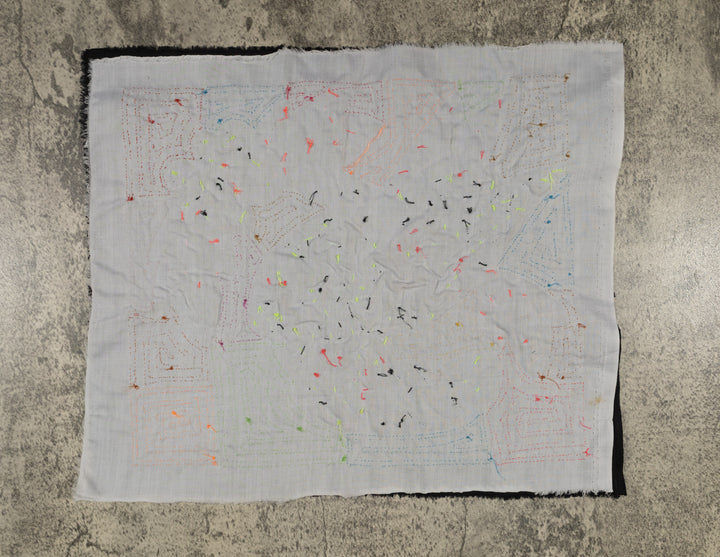 Fantasy Red Blue And Orange Toucan Bird Mola