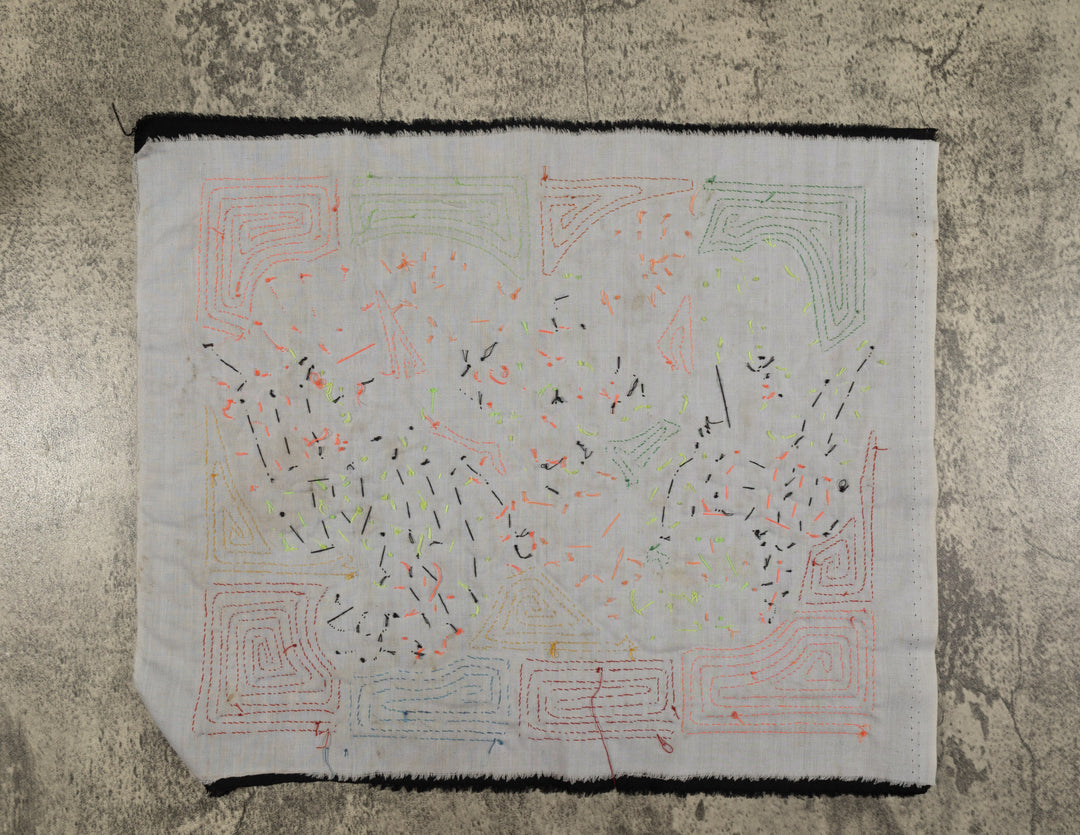 Fantasy Orange Blue And Yellow Two Parrot Bird Mola