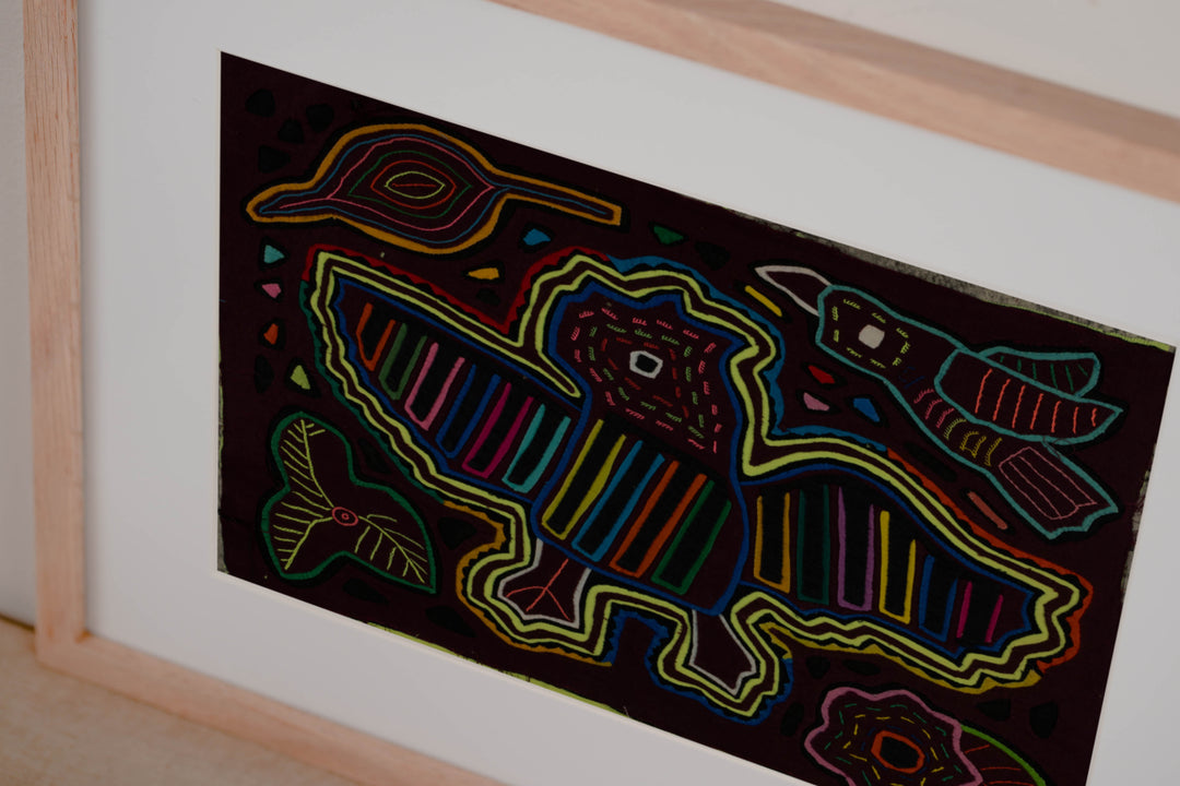 Maroon And Yellow Bat Bird Mola