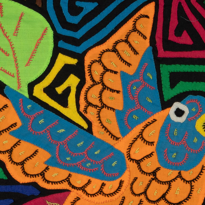 Colorful Hummingbird Feeding on Flower Mola