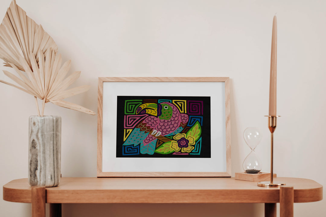 Pink Keel-billed Toucan Mola