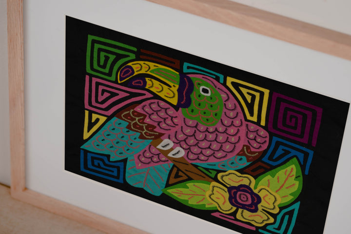 Pink Keel-billed Toucan Mola