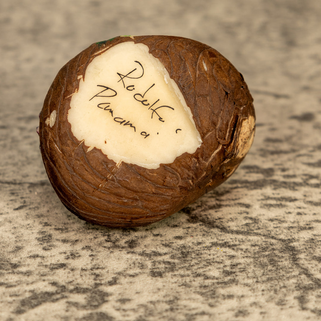 Hummingbird With Flower Tagua Nut Carving