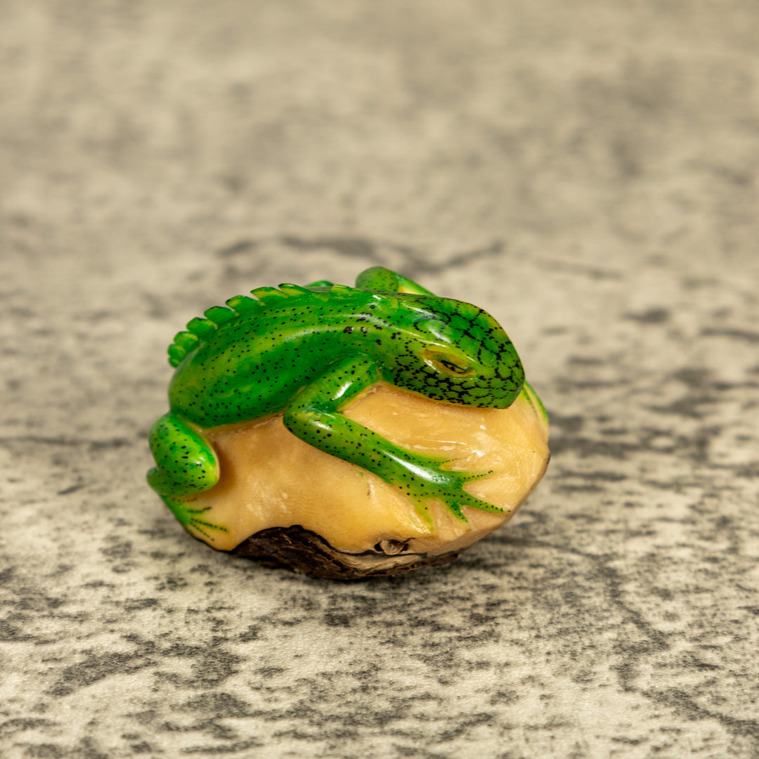 Green Iguana Lizard Tagua Nut Carving