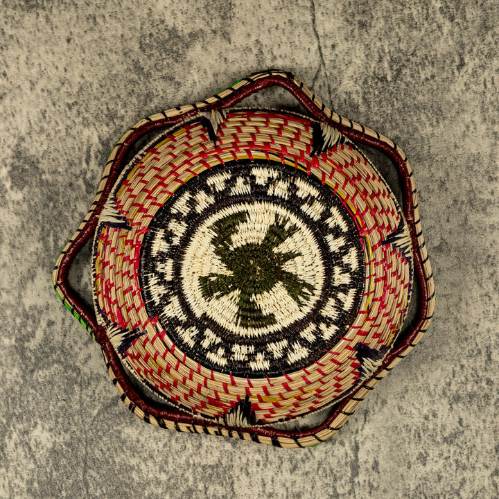 New Design Turtle Hand Woven Bowl Basket